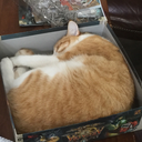 unusualfantasy avatar