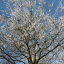 unvermittel69ar avatar