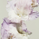 unvisibly-blog avatar