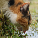 unwantedgifts avatar