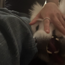 unwelcomedsilence avatar