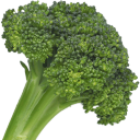 unwisebroccoli avatar