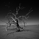 uopnaaelig-kaerlighed-blog avatar