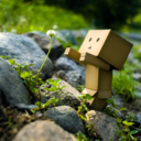 upclosewithroro avatar