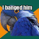 updateibangedhim avatar