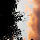 upngomachine-at18 avatar