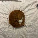 upon-a-painted-ocean avatar