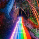 upsetcactussss avatar