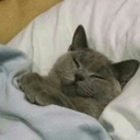 upsetswadloon avatar