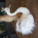 upsettimyspagetthi avatar