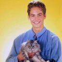 upsidedownknight avatar