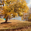 upstate-aesthetics avatar