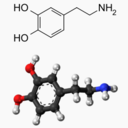 ura-dopamine avatar