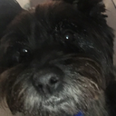 urallinmyhead avatar