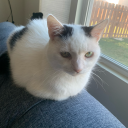 uranium-muncher avatar