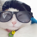 urban-classified-ads avatar