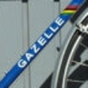 urban-gazelle avatar