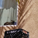 urbanfreeerunner avatar