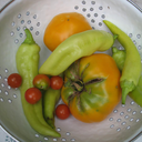 urbanhomesteaders avatar