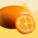 urbanistkumquat avatar