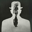 urbanmaven-blog-blog avatar