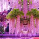 urbanmotoculture avatar