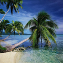 urbanoutfittersofficial avatar