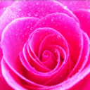 urbanxnarcissist avatar