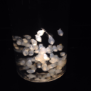 urfriendlybitch avatar