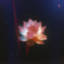 urfriendlywriter avatar