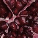 urlocalloser10191 avatar