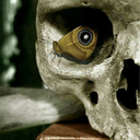 urlsemsentido avatar