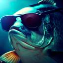 urskogsbullen avatar