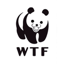 urso-preto-e-branco avatar