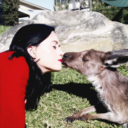 ursogaay-blog avatar