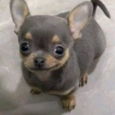 ursongwritter avatar