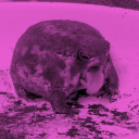 urthebeatofmyheart avatar