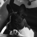 usandtomorrow avatar