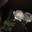 used-up-cigars avatar