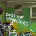 usedwithoutpermission avatar