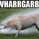 useless-hoodie avatar