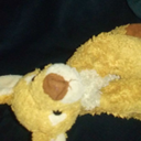 useless-trashy-thing avatar