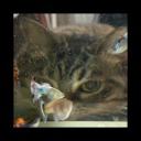 uselessclownkid avatar