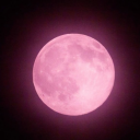 uselesslesbianvivy avatar