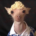 uselessstoner avatar