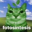 user1919191919 avatar