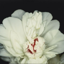 user3853811193814 avatar