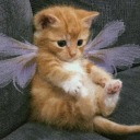 userisacrybaby avatar