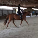 usernameangst avatar