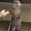 usernamegeeezzzz avatar